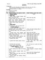 TUAN 26 CKT LOP 1 (NGA)