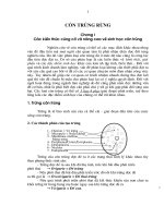 Bài giản côn trùng rừng