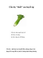 Cần tây đuổi cao huyết áp ppsx