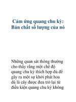 Cảm ứng quang chu kỳ: Bản chất số lượng của nó pps