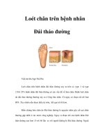 Loét chân trên bệnh nhân Đái tháo đường doc