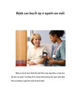 Bệnh cao huyết áp ở người cao tuổi docx