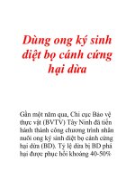 Dùng ong ký sinh diệt bọ cánh cứng hại dừa ppt