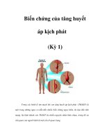 Biến chứng của tăng huyết áp kịch phát (Kỳ 1) pptx