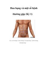 Đau bụng và một số bệnh thường gặp (Kỳ 1) potx