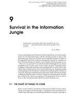 Tổng diện tích mạng P9 pdf