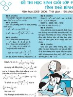 Đề thi học sinh giỏi Toán 9 - Thái Bình 05-06 pps