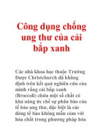 Công dụng chống ung thư của cải bắp xanh pptx
