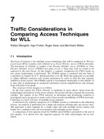 Wireless địa phương vòng - lý thuyết và ứng dụng P7 pps