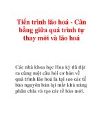 Tiến trình lão hoá - Cân bằng giữa quá trình tự thay mới và lão hoá pptx