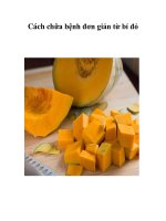 Cách chữa bệnh đơn giản từ bí đỏ pps
