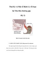 Thai Kỳ và Một số Bệnh Lý rối loạn hệ Tiêu Hóa thường gặp (Kỳ 2) pot