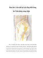 Đau âm ỉ, kéo dài tại cột sống thắt lưng do Viêm khớp cùng chậu pot