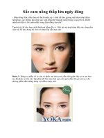 Sắc cam nồng thắp lửa ngày đông ppt