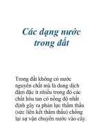 Các dạng nước trong đất pot