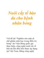 Nuôi cấy tế bào da cho bệnh nhân bỏng pptx