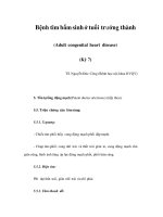 Bệnh tim bẩm sinh ở tuổi trưởng thành (Adult congenital heart disease) (Kỳ 7) pptx