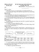 Đề thi HSG Huyện Hương Trà 09-10