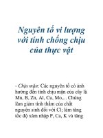 Nguyên tố vi lượng với tính chống chịu của thực vật ppsx