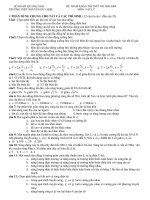 Đề thi thử tốt nghiệp 02