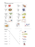 kiem tra tieng anh lop 2