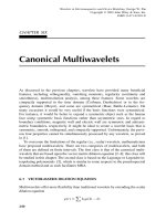 Wavelets trong Electromagnetics và mô hình thiết bị P6 potx