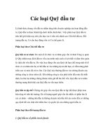 Các loại Quỹ đầu tư pptx