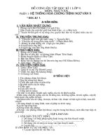 Bồi dưỡng ngữ văn 9