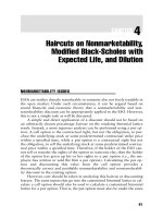 Valuing Employee Stock Options Part 4 pptx