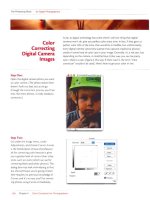 The Photoshop Book for Digital Photographers- P5 ppt
