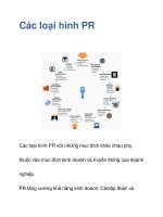 các loại hình pr