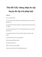 Thu hồi Giấy chứng nhận do cấp huyện đã cấp trái pháp luật docx