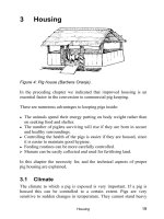 Pig keeping in the tropics - part 2 pot