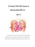 Các dạng Viêm Mũi Xoang và phương pháp điều trị (Kỳ 1) ppt