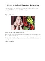 Mặt nạ từ thiên nhiên dưỡng da tuyệt hảo pdf