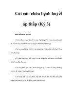 Cát căn chữa bệnh huyết áp thấp (Kỳ 3) pot