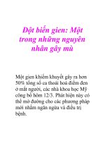 Đột biến gien: Một trong những nguyên nhân gây mù pdf