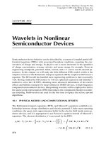 Wavelets trong Electromagnetics và mô hình thiết bị P10 ppsx