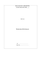 Mẫu giấy phép chế biến khoáng sản potx