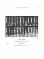 The human Figure in motion - Phần 2 doc