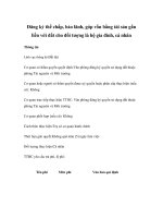 Đăng ký thế chấp, bảo lãnh, góp vốn bằng tài sản gắn liền với đất cho đối tượng là hộ gia đình, cá nhân doc