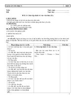 giao an 5 bai chen tep hinh ve vao van ban