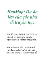 HapMap: Dự án lớn của các nhà di truyền học pps