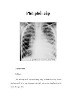 Phù phổi cấp doc