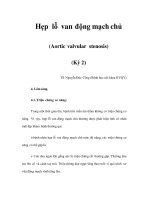 Hẹp lỗ van động mạch chủ (Aortic valvular stenosis) (Kỳ 2) pptx