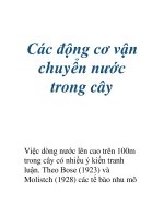 Các động cơ vận chuyển nước trong cây pdf
