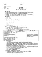 Khối 5_Tuần 27_Mới