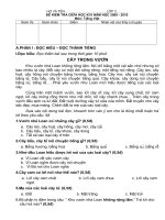 ĐỀ THI GHKII Tiếng Việt - Lớp 2