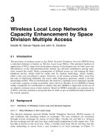 Wireless địa phương vòng - lý thuyết và ứng dụng P3 potx