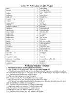 e10 u9 từ vựng và ngữ pháp